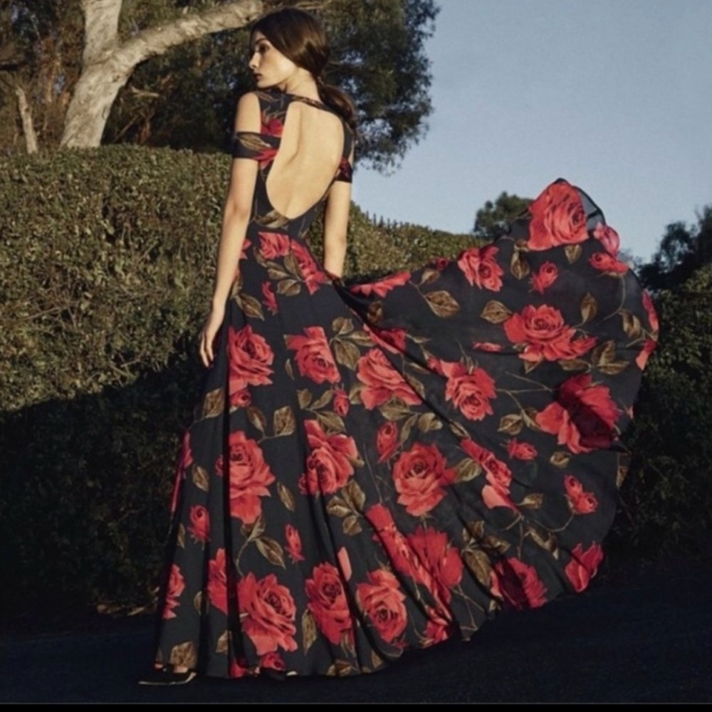 NWT Reformation Allegra Dress